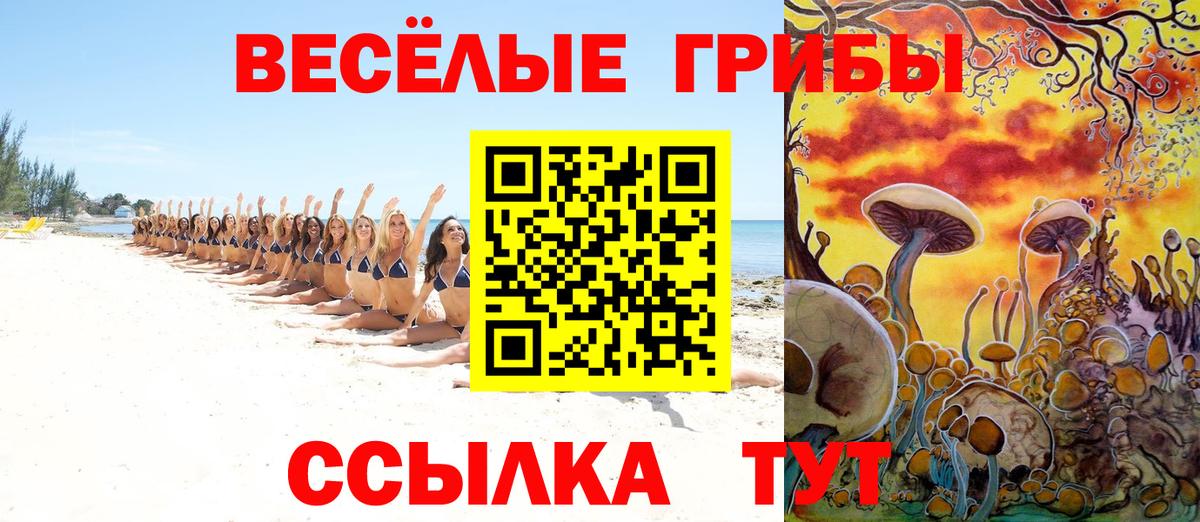 Псилоцибиновые грибы MAGIC MUSHROOMS Санкт-Петербург