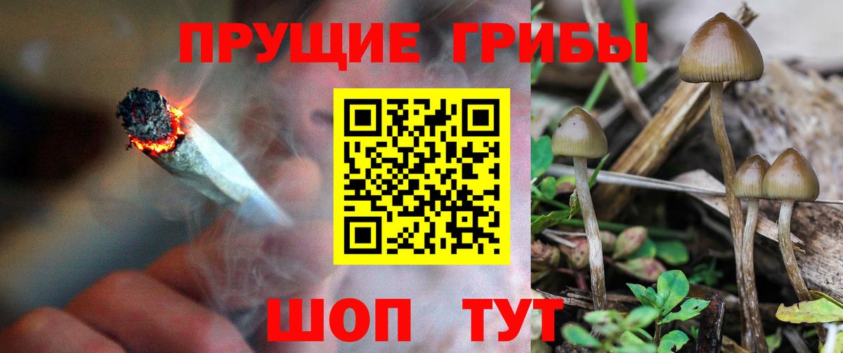 Псилоцибиновые грибы Psilocybine cubensis  Вход с VPN  Псилоцибиновые грибы Psilocybine cubensis  Санкт-Петербург 